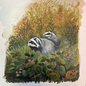 Original Painting Of Badgers, Unframed