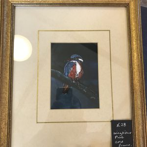 Kingfisher Print In Lovely Gold Frame