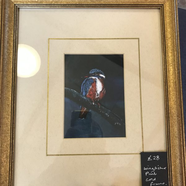 Kingfisher Print In Lovely Gold Frame