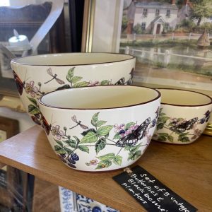 Set Of Butterflies And Blackberries Planters