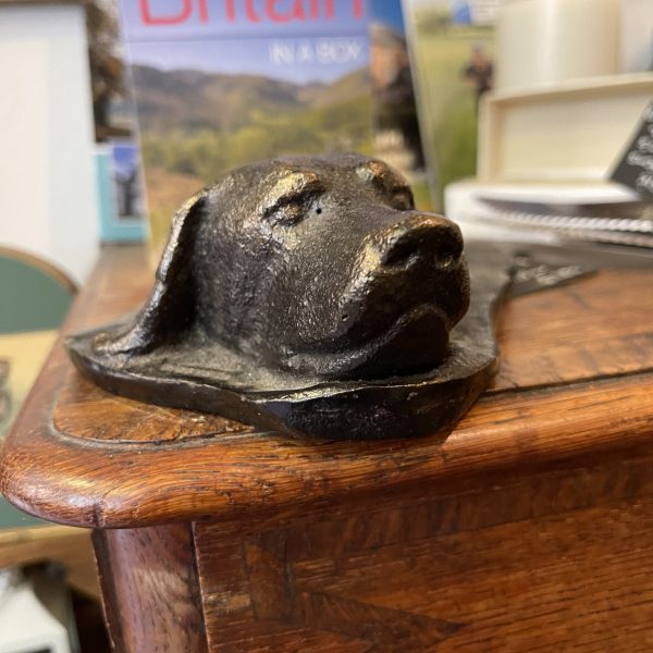 Gorgeous Labrador Cast - Signed PS - Image 2