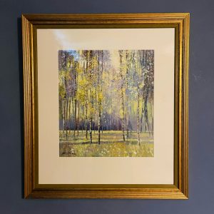 Birch Trees Print, Signed Hammond, In Gold Frame