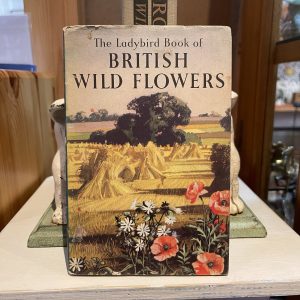 Ladybird Book Of British Wild Flowers