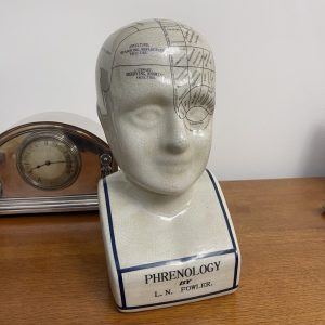 Large Phrenology Head