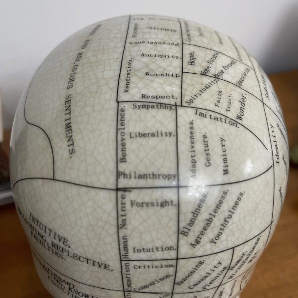 Large Phrenology Head - Image 2