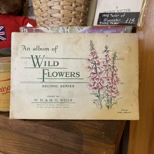Album Of Wild Flowers, 1930s