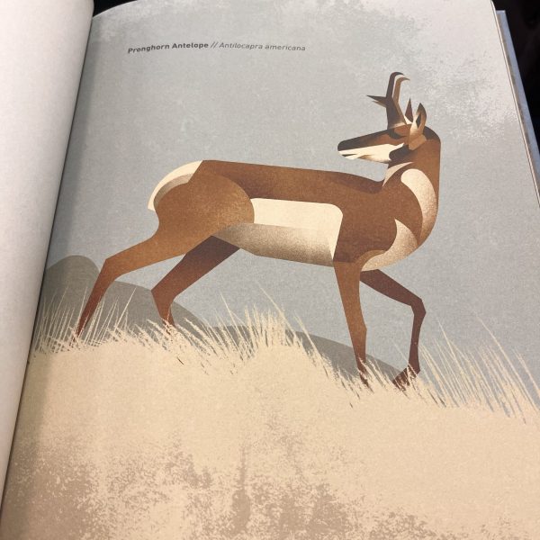 Wild Animals of the North by Dieter Braun - Image 2