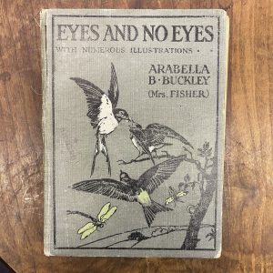 Eyes And No Eyes, Arabella B. Buckley