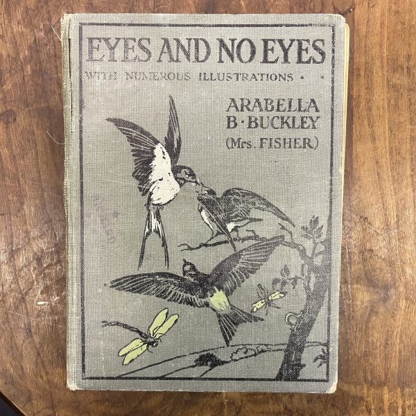 Eyes And No Eyes, Arabella B. Buckley