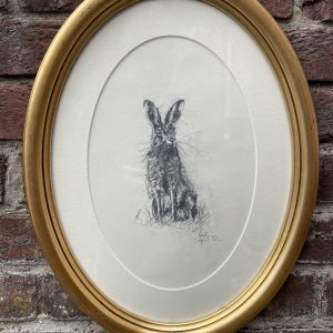 Lovely Framed Original Illustration Of Hare in Pencil