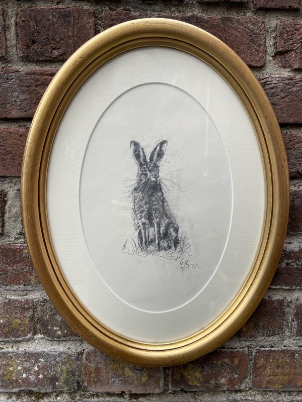 Lovely Framed Original Illustration Of Hare in Pencil