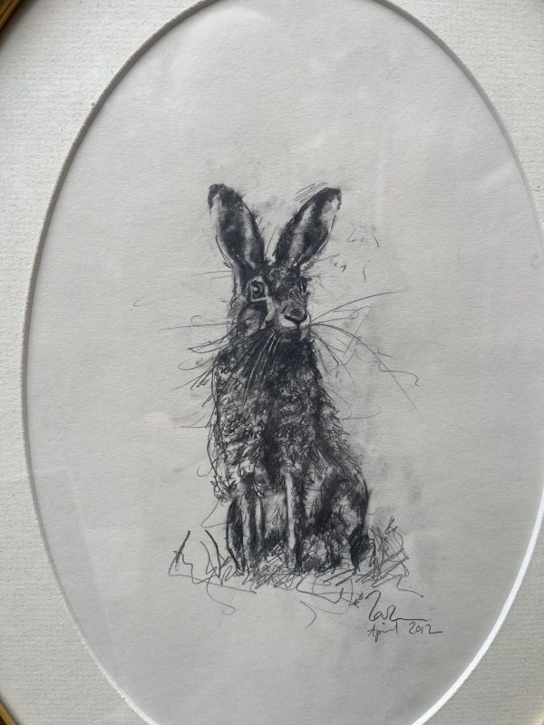 Lovely Framed Original Illustration Of Hare in Pencil - Image 2