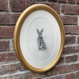 Framed Illustration Of Hare