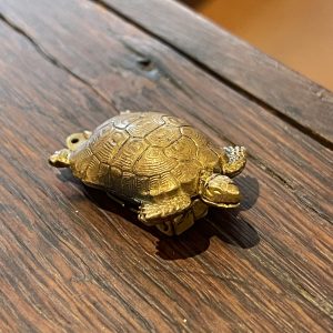 Delightfully Detailed Antique Turtle Dress Clip