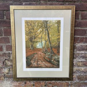 Woodland Track by Mark Spain