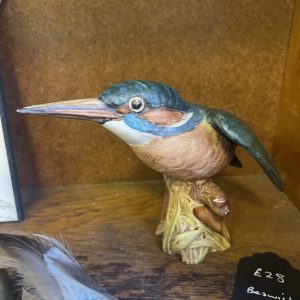 Kingfisher, Beswick, England