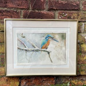 Lovely Kingfisher, Framed Watercolour