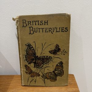 British Butterflies, 1902