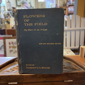 Flowers Of The Field, 1908