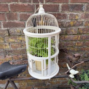 Lovely Old Birdcage, Ideal For Plants