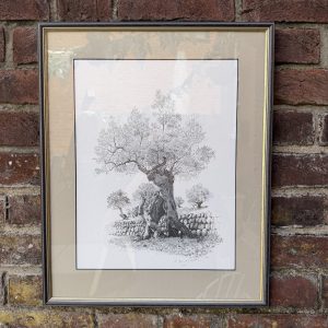Framed Illustration Of A Tree